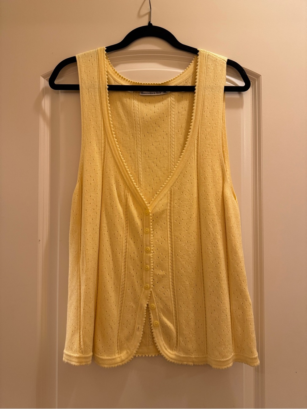 Abercrombie and Fitch pointelle sweater tank
